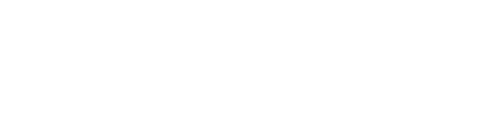 BIZMASTER